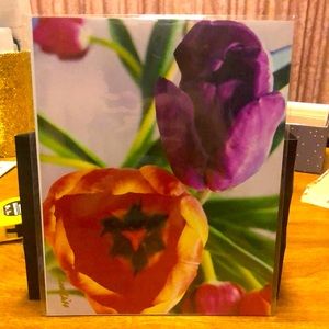 8 x 10 Tulips Photo